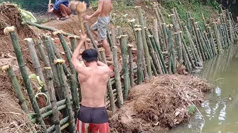 Đóng cọc tre để giữ bờ ao | Bà Mơ Vlogs