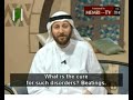 Memri tv compilation 13  arab tv memes