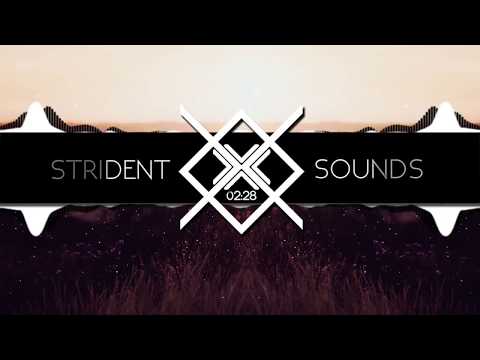 Clean Bandit ft. Zara Larsson - Symphony (VITIZE Remix)