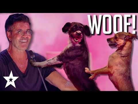 simon-cowell's-no.-1-dog-act-on-britain's-got-talent:-the-champions-2019-|-got-talent-global