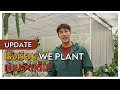 Update  we plant   we plant  ep12