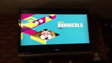 Boomerang Next Bumper RARE NEW Bunnicula