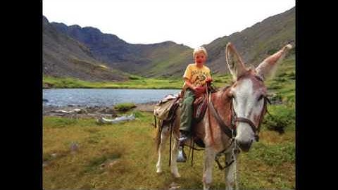 Full Tilt Boogie Slideshow