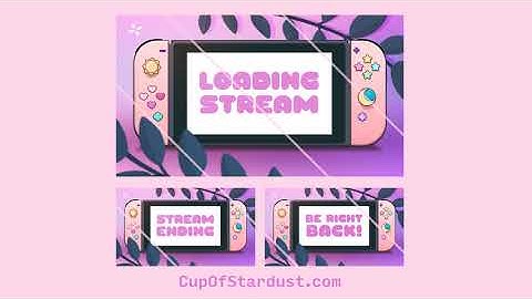 Animated Stream Starting Soon, BRB, Ending Videos added to shop! (instant download)