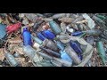 Arrowhead Hunting - Bottle Digging - Toy Marbles - Antiques - History Channel