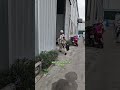 Một ngày làm việc ngành quan trắc môi trường #shorts