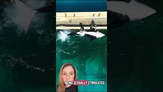 Update Tidebreakers Responds To Disturbing Footage Of Keijo