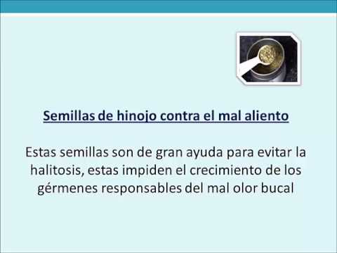 video editing software free Halitosis Tratamiento Casero - Medicina Natural Contra el Mal Aliento