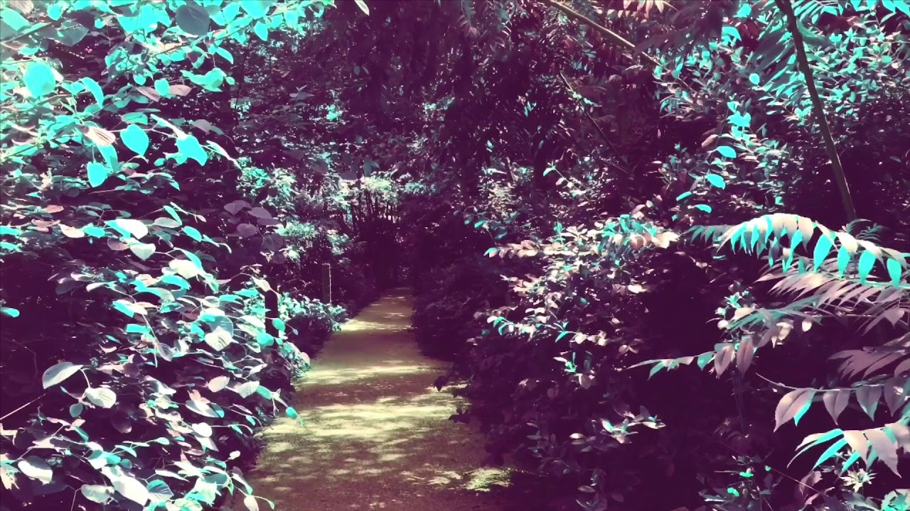 “A Thousand Ways to Beethoven” (Original Sequence + Mixed Variation 15) Music by Adrénus Craton