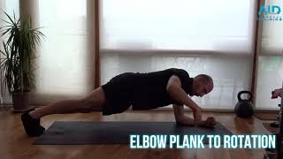 Elbow Plank + Rotation