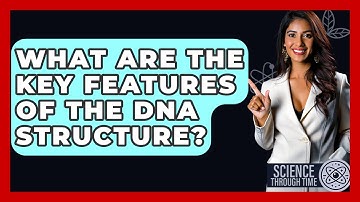 What Are The Key Features Of The DNA Structure? - Science Through Time