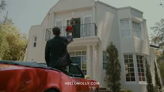 Hello Molly Valentines Day