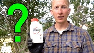 Will Roundup Kill A Tree?