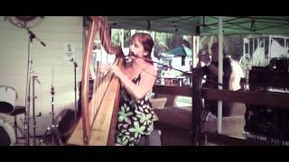 Debbie Robinson - Let Her Go Passenger Cover On Celtic Harp