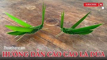 Cào cào lá dừa | Hướng dẫn làm cào cào lá dừa siêu dễ | Coconut Leaf Craft @Thoahandmade