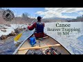 Beaver Trapping via Canoe in New Hampshire with New England Naturals