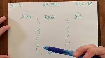 Words Their Way Syllables and Affixes Sort 15