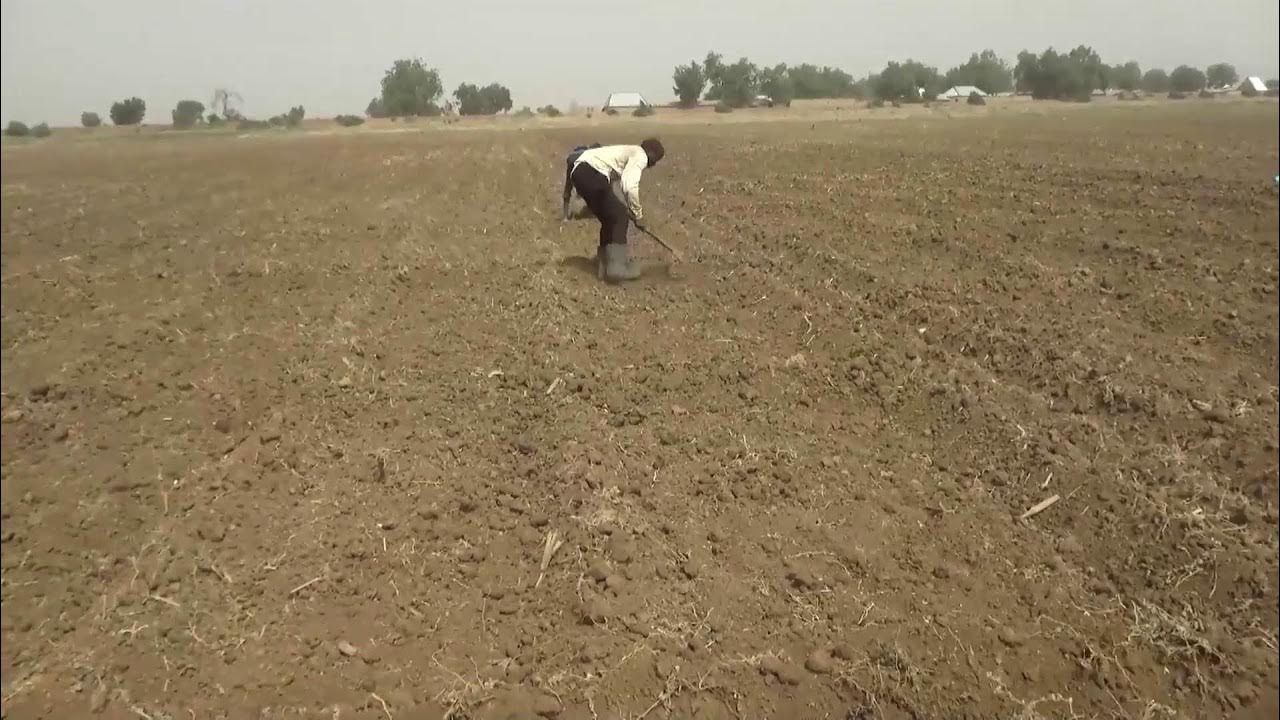 Agriculture Prosperity