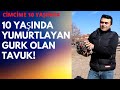 CİMCİME 10 YAŞINA GİRDİ! Yumurtalığında sorun olsa da yumurtlamaya devam ediyor.