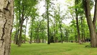 Drew Universitys Arts And Letters Program