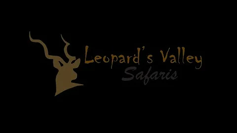 Buffalo Hunt 2017 (Repost) Part 3