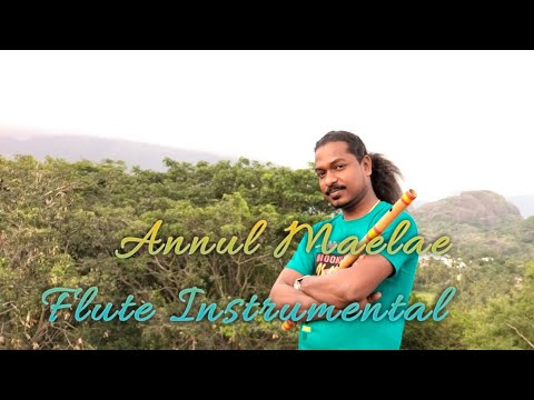 flute instrumental |Annul Maelae Panithuli | flute Levin 9600462910