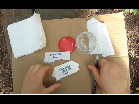 Video: Seemnete säilitamine: kuidas seemneid hoida