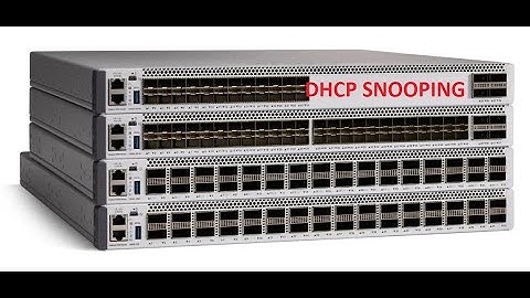Prevent DHCP FAKE , DHCP FLOODING (DHCP SNOOPING)