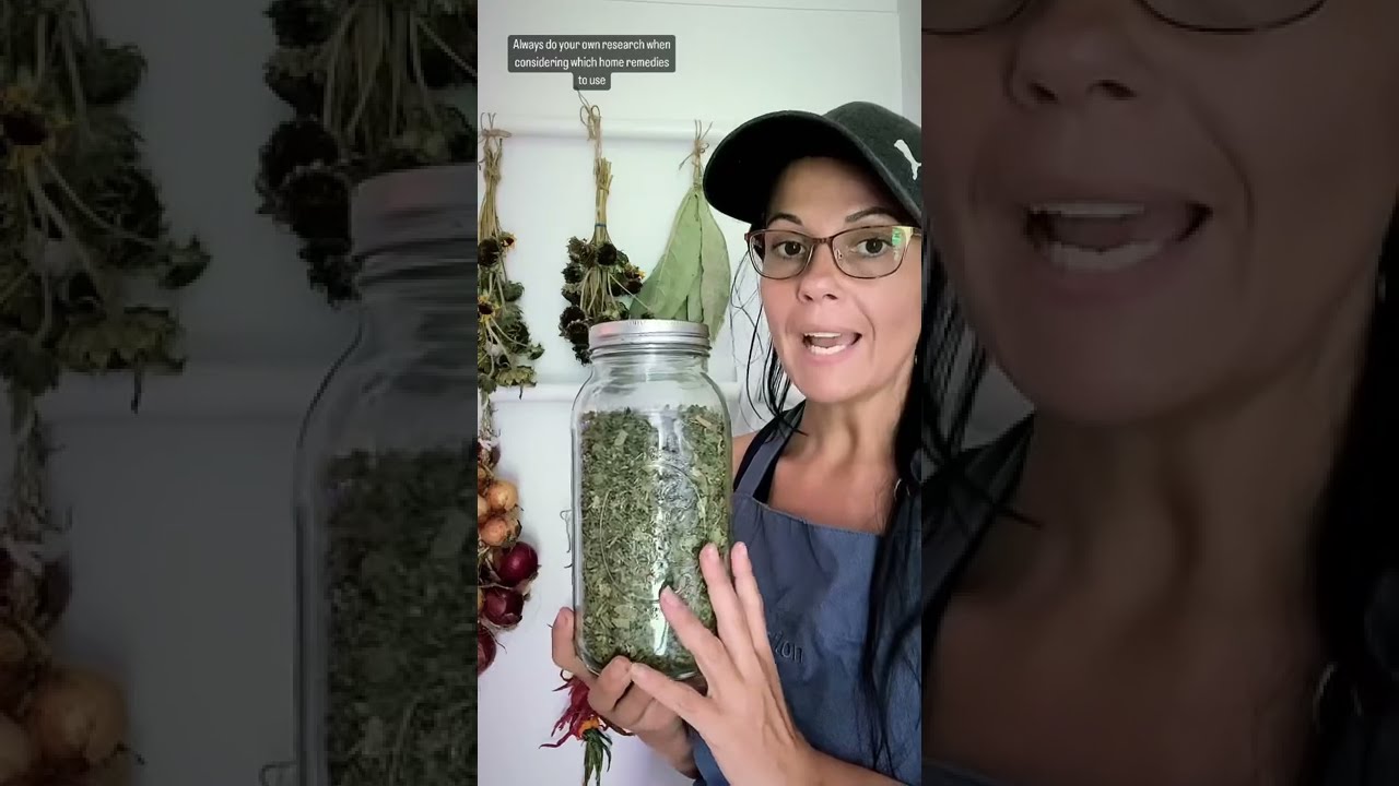 3 Ways To Use MULLIEN Leaves Mullien Mulliienleaves Herbs Herbalist Medicinalherbs