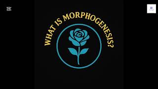 Morphogenic Politics - Episode 1, What Is Morphogenesis
