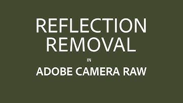 Reflection Removal in Adobe Camera Raw (Tech Preview)