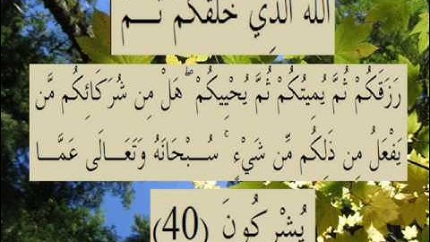 القران الكريم سورة الروم الأية 40.wmv