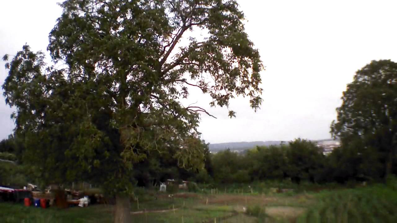 Hauts de Margny - 20/07/2014