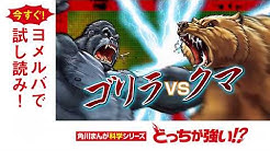 ｋａｄｏｋａｗａオフィシャルチャンネル Youtube