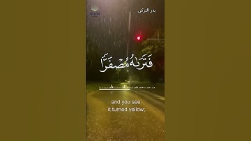 آيات من الذكر الحكيم🥀 | تلاوات عطرة ٦٩🥺✨🌹