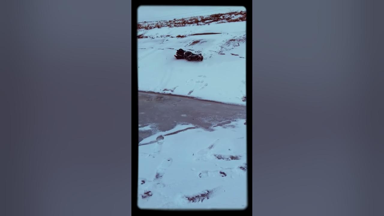 За сігу - YouTube