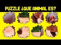 Completa los 30 PUZZLES de animales ¿Puedes conseguirlo a tiempo?