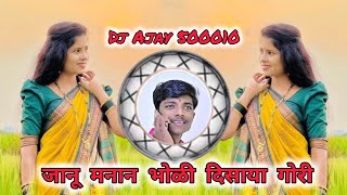 Janu Manan Bholi Disaya Gori जन मनन भळ दसय गर Dj Ajay