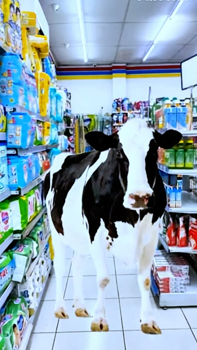 There's a Mad Cow at Indomaret | iBam