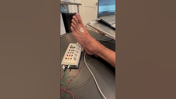 #NCV Lower leg testing sequence with Dr. Mark Gabriel @thewellnesscenterpdxmarkga8951