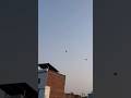 Kites short videos #@P@PrakashSaini5555-y7p
