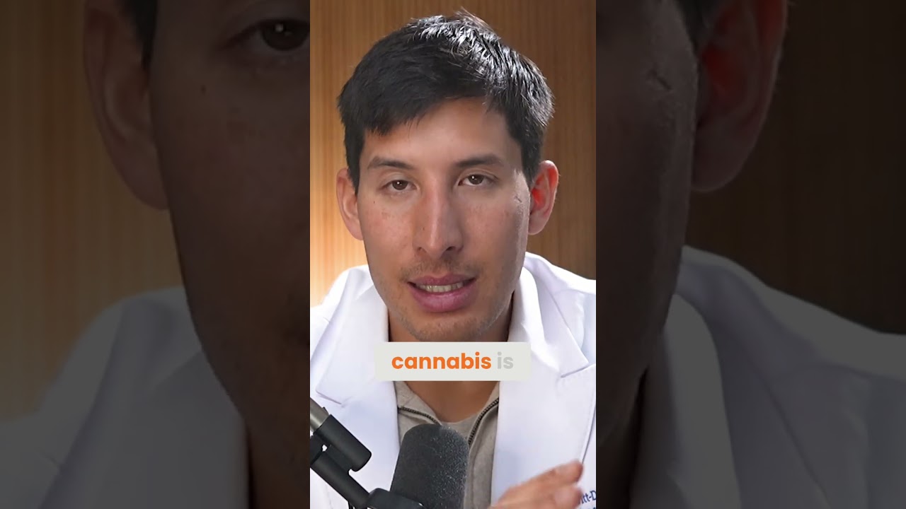 Шокирующее употребление каннабиса в Канаде: выявлены новые опасности.