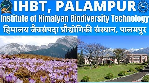 IHBT, PALAMPUR, CSIR-Institute of Himalayan Biodiversity Technology Palampur, Himalayan Biodiversity