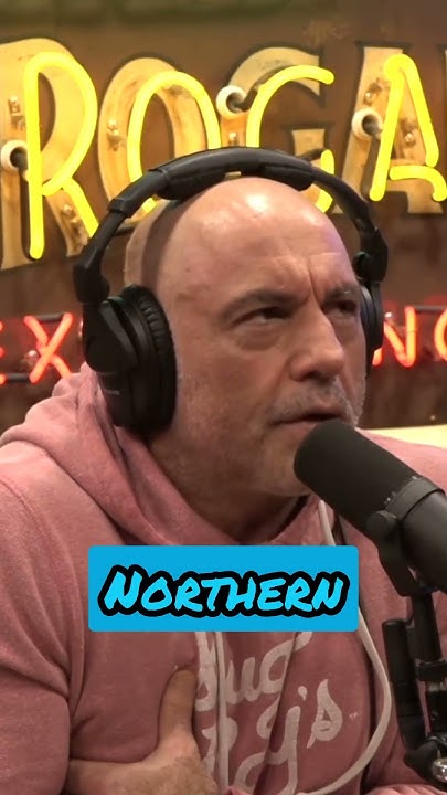 Northern Lights and Hot Springs Rick Strassman Joe Rogan Experience