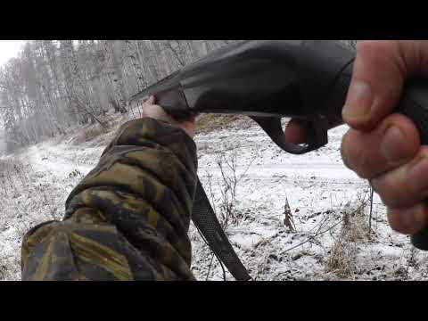 ირემზე ნადირობა