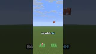 Warum hört dieses Schwein nie auf zu hüpfen? #minecraft