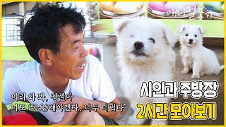 오늘은 꼬질해진 꼬물이들 목욕하는 날  시인과 주방장이 있는 작은 중국집 2시간 모아보기! | 시인과 주방장 | KBS 인간극장 2019 방송