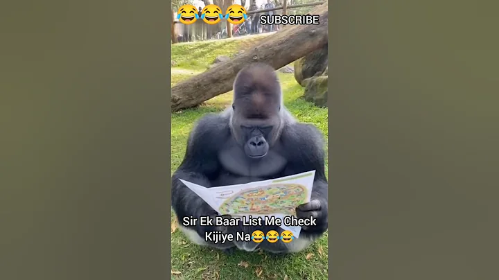 Sir Ek Baar List Me Check Kiniye Na | Chimpanzee | Gorilla #shorts #comedy #video #funny