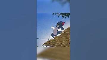 Me running from the consequences of my own actions | Tom & Jerry | @GenerationWB