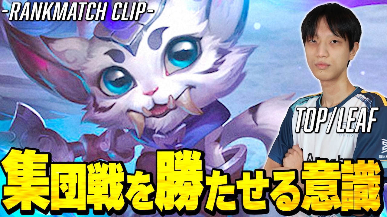 【ナーvsカサンテ】 ナーは集団戦でこそ輝く！/ Leaf